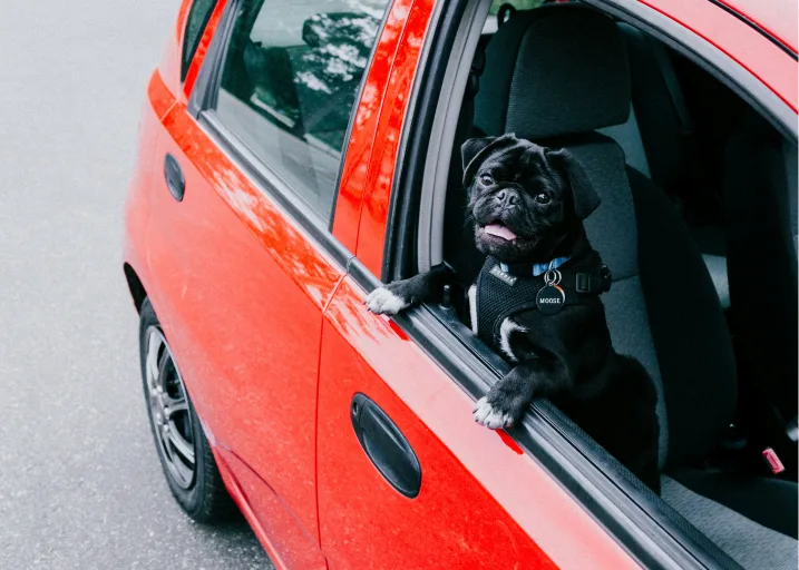 Nationalcarbuyers homepage 07